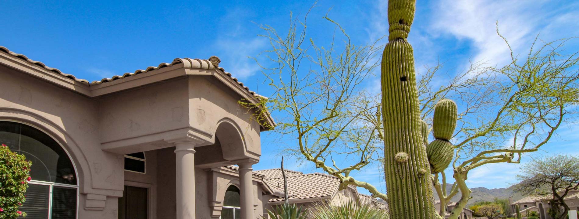 Home in Arizona with Saguaro