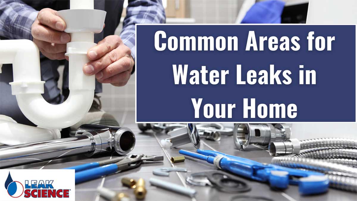 Common Areas for Water Leaks in Your Home