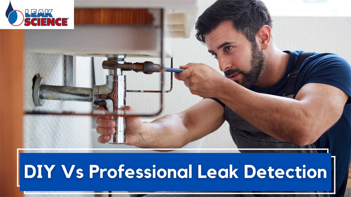 DIY Vs Professional Leak Detection DIY Vs Professional Leak Detection