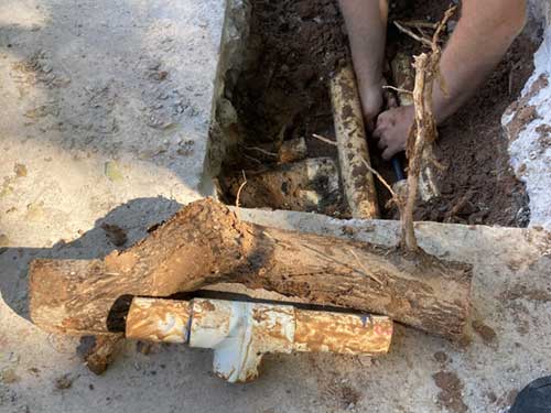 Root & Broken Fitting Removed Root & Broken Fitting Removed