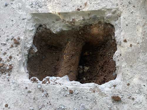 Large Root Under The Bottom Of The Pool Large Root Under The Bottom Of The Pool