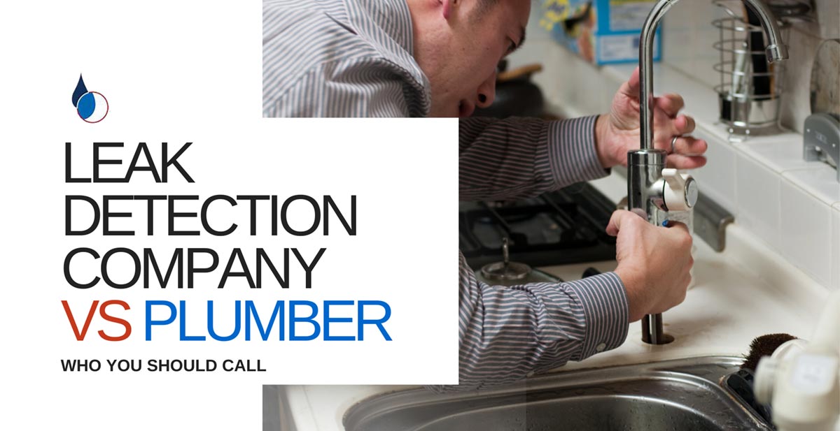 Leak Detection Company vs Plumber: Who Should You Call Leak Detection Company vs Plumber: Who Should You Call
