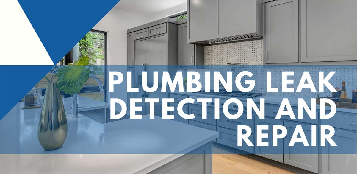 Plumbing Leak Detection & Repair - Kitchen Photo