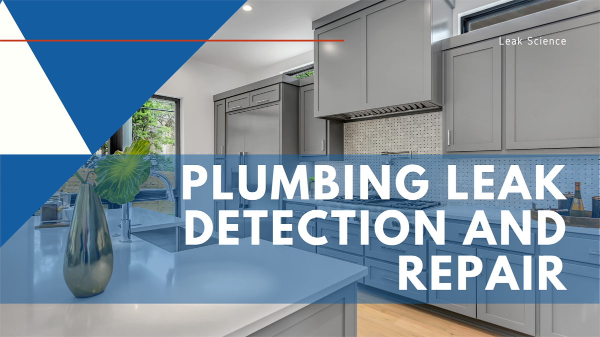 Plumbing Leak Detection and Repair Leak Science
